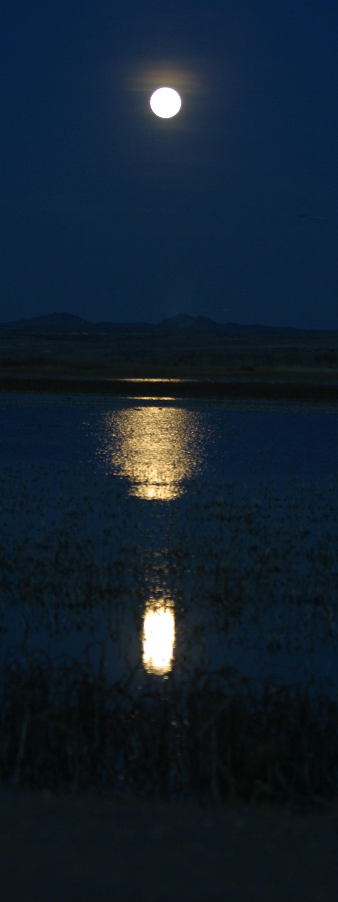 <B>Moon over the flightdeck</B><BR> Bob Watt