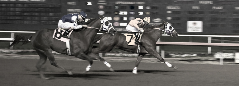 <b>Race is On*</b><br><font sige=3>by Tim Dahl</font>