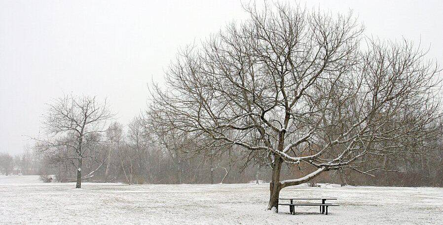 <B>Peaceful</B><BR><I>*by Mark Hensley</I>