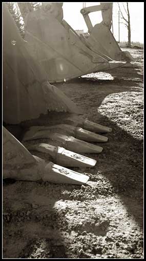 Claws*<BR>Michael Moses