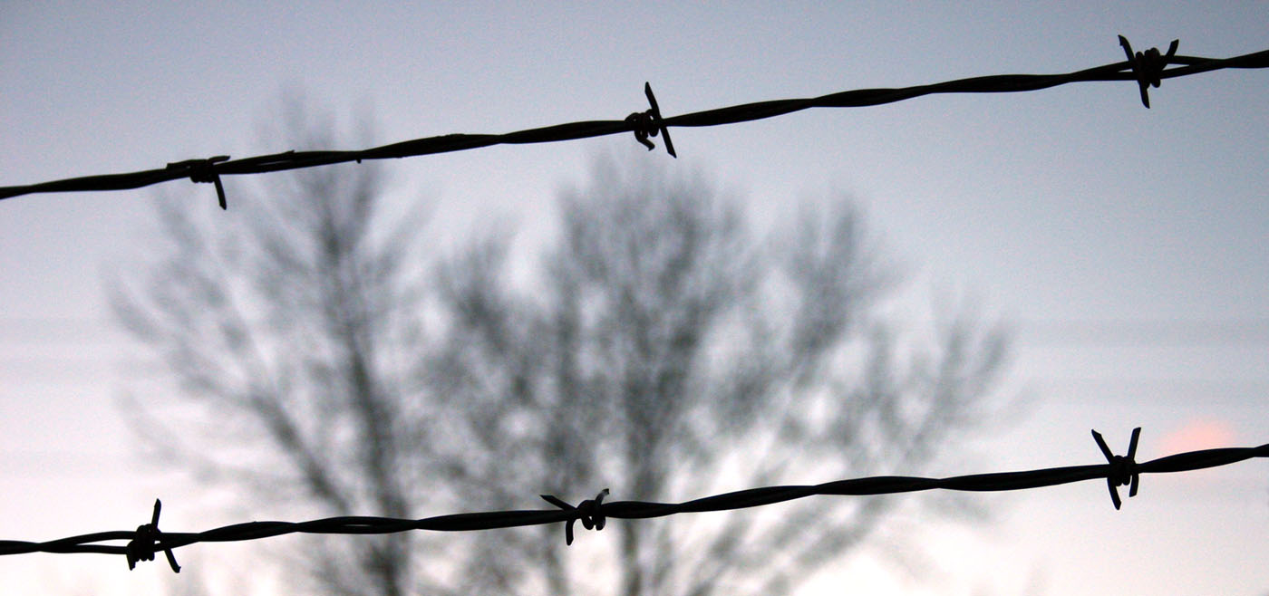 <b>Trapped *</b> <br>by Aric Spence
