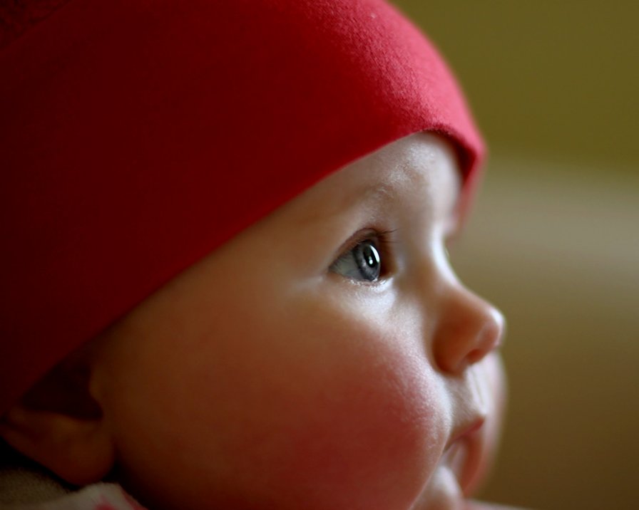 <b>9th Place (Tie)</b><br><i>little red<br>by Peter Poskas</i>