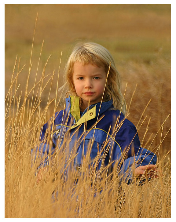 <b>2nd Place</b><br><i>Irish Sunlight<br>by Chris McG.</i>