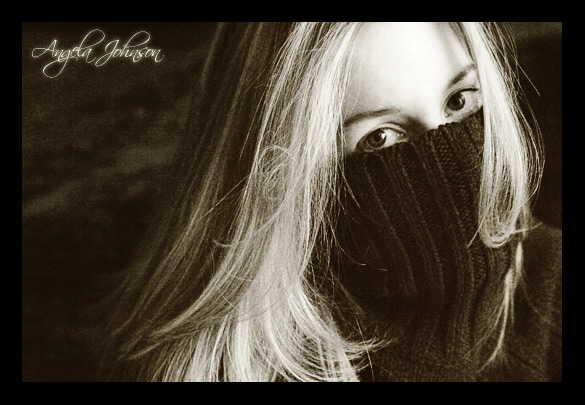 <B>Shy</B><BR> <i>by Angela Johnson</i>