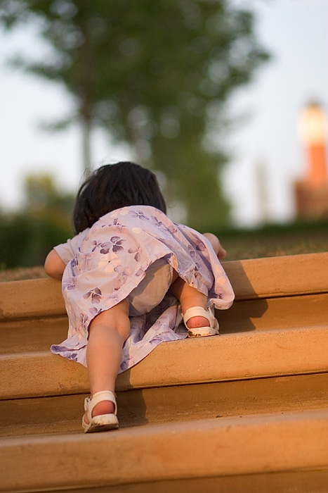 <b>Steps</b><br>