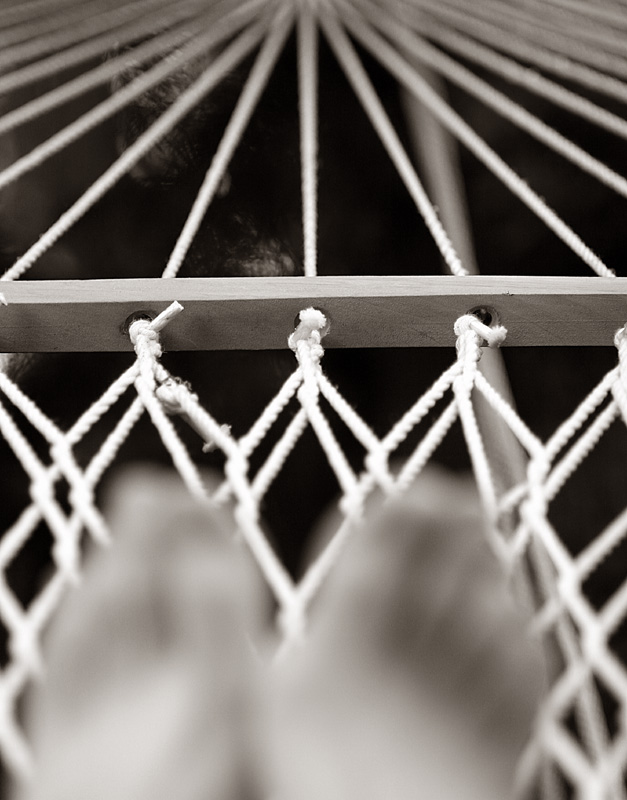 Convergence by CindyD*