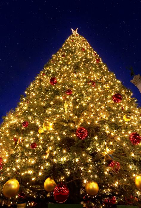 Stars of Season & Stars of Heaven<br><i>Michael Soo</i>
