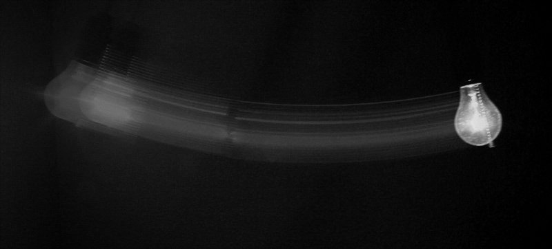 Light and Motion *