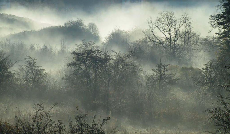 Morning Mist