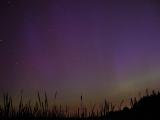 A First Look at Aurora