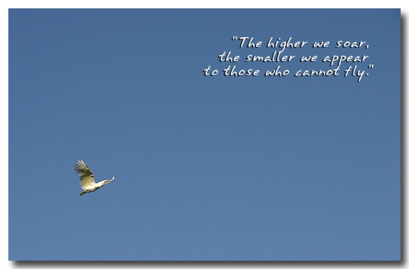 The higher we soar........(*)