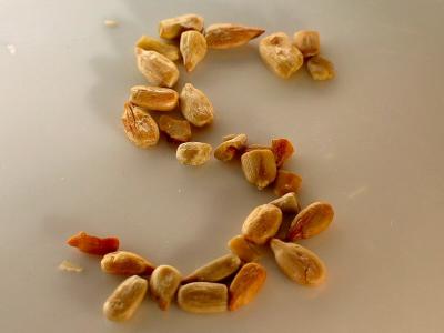 Sunflower Seeds (*)