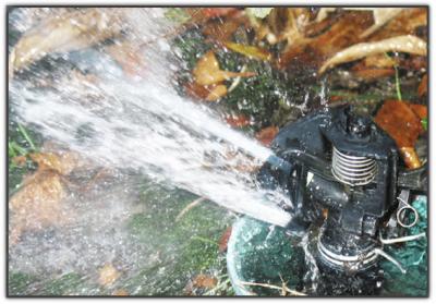 Sprinkler