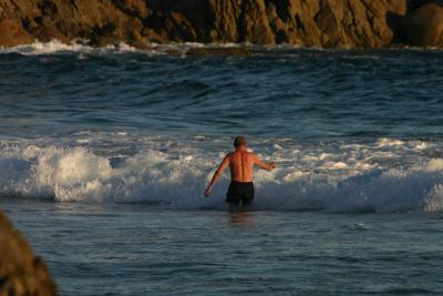 Swimmer  *