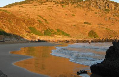 Surf at Sunset *