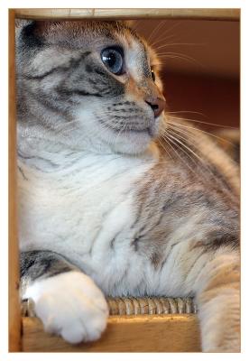 u38/ctfchallenge/medium/24845406.24373484.Sadie2.jpg
