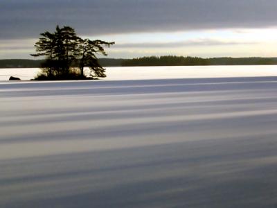 Shadows on the Snow*