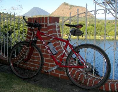 Specialized *