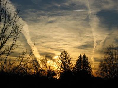 Sunburst*