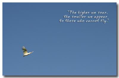 The higher we soar........(*)