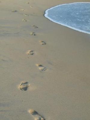 footprints*