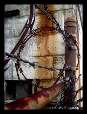 barbed wire (*)