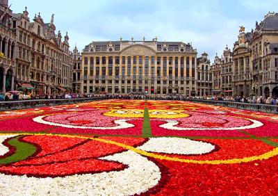 Flower Carpet