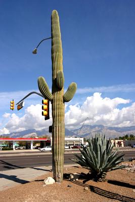 Urban Cactus (*)