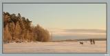 There is No Winter without Snow ... (*)