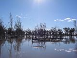 Still Waters *