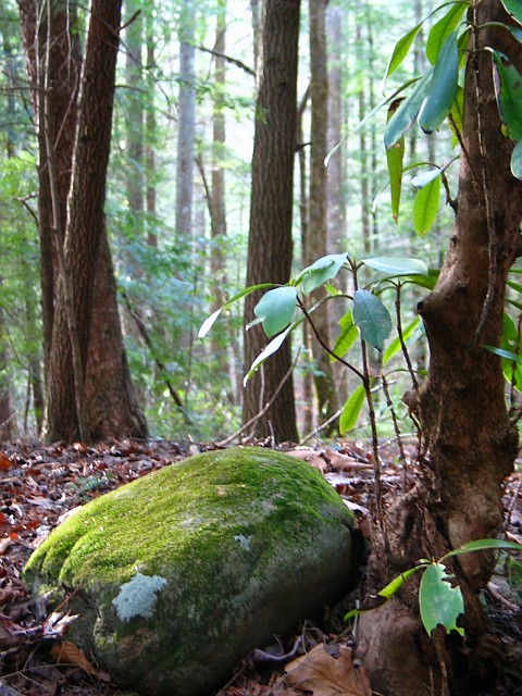 Stone 2<br>*</br>