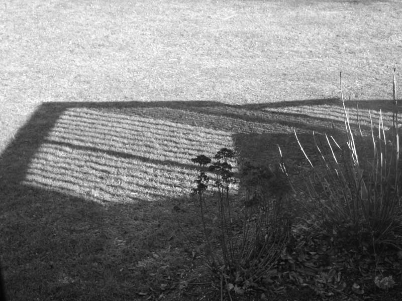 Shadow