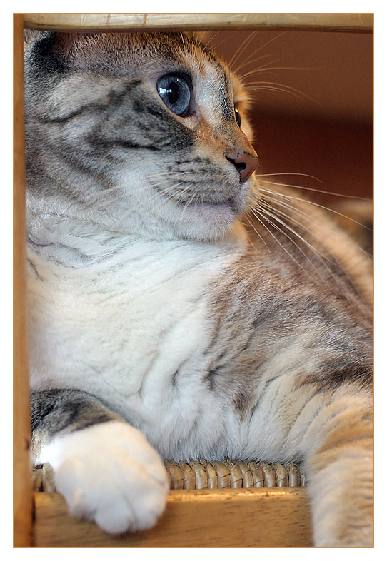 <B>Sadie</B>