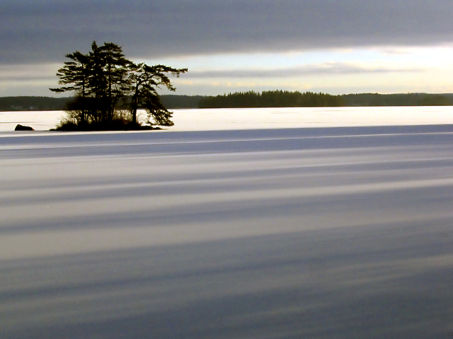 Shadows on the Snow*