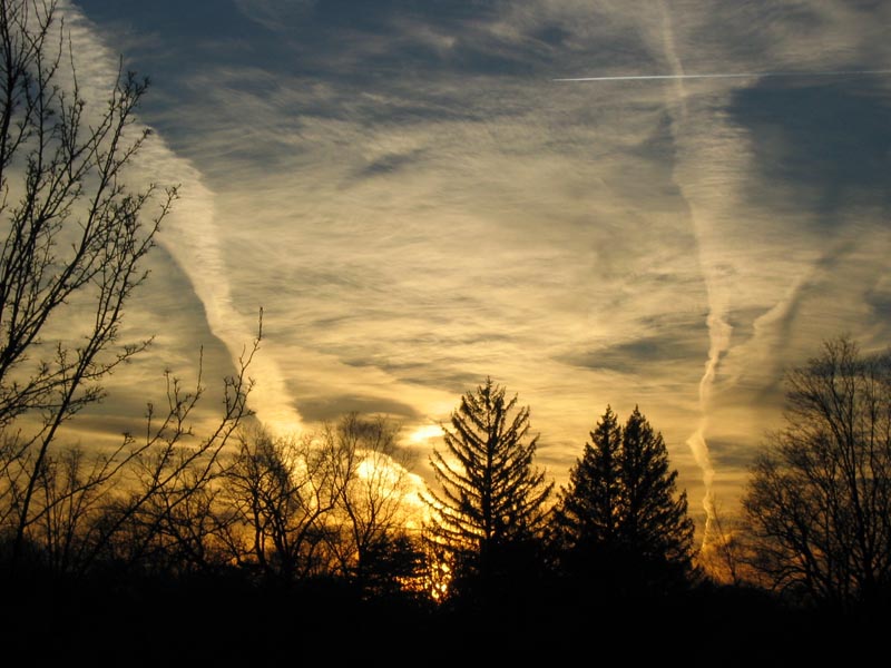 Sunburst*