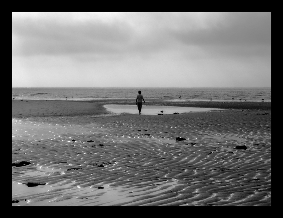 The happiest of all lives is a busy solitude *