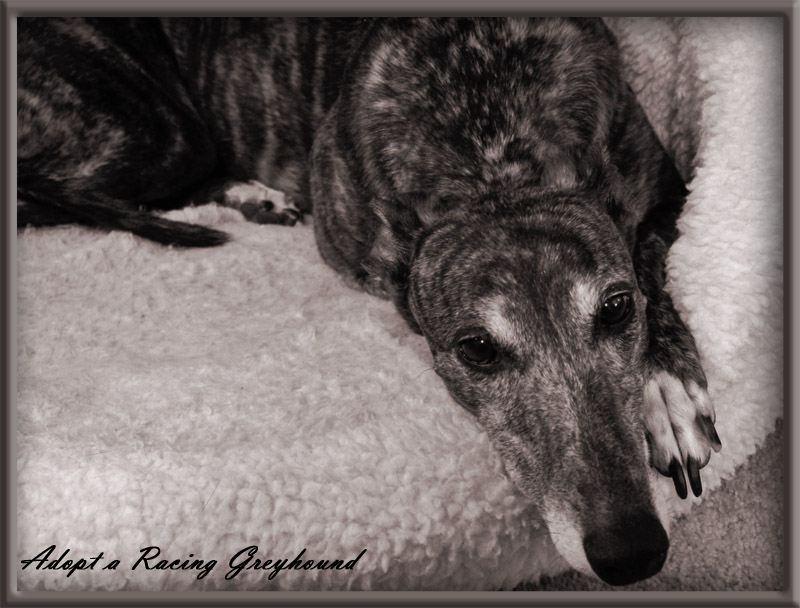A Penny Saved. . . (*)