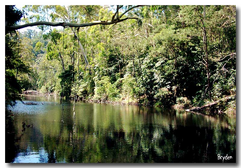 Still waters run deep *