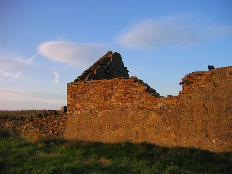 old cattle shed *