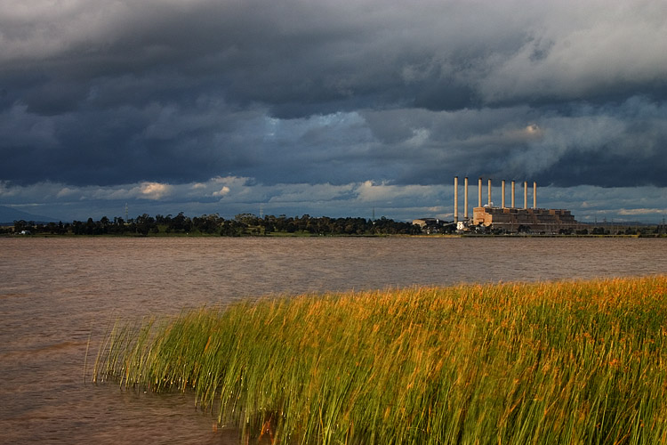 Hazelwood Power (*)
