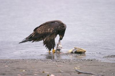 CRW_0639.jpg