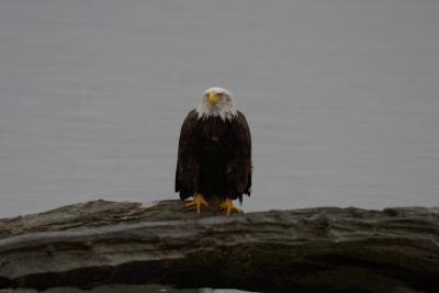 CRW_0643.jpg