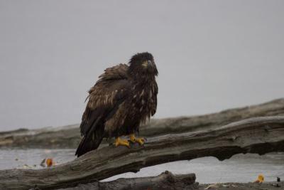 CRW_0649.jpg