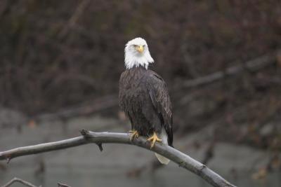 CRW_0715.jpg