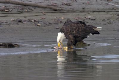 CRW_0733.jpg