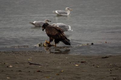 CRW_7850.jpg