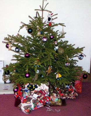 Our Christmas Tree