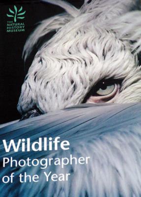 Exhibit at the Museum of Natural History