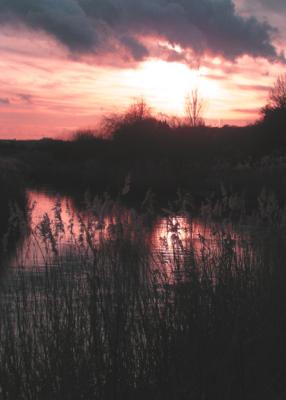 As evening falls ...