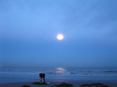 Sandwich Bay